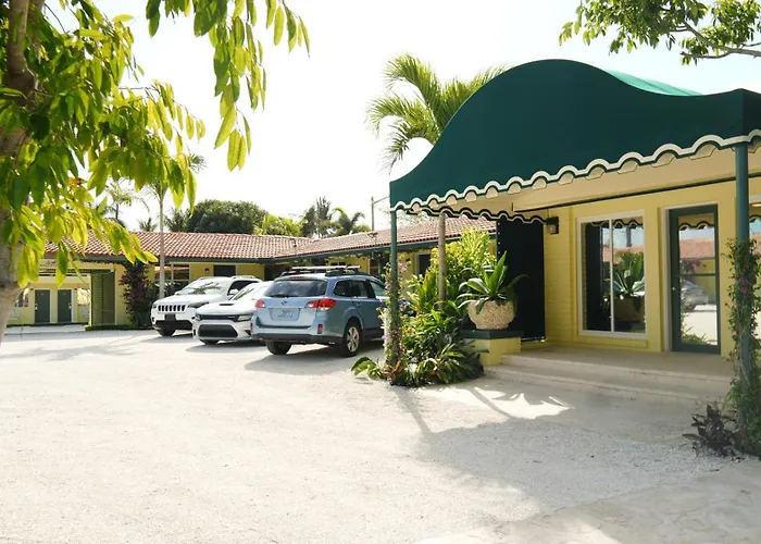 The Palm Rose